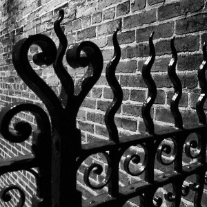 Photo by John Richards