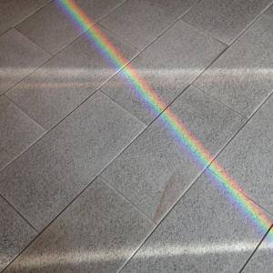 20543885_10213433675817289_7437593788744249523_o