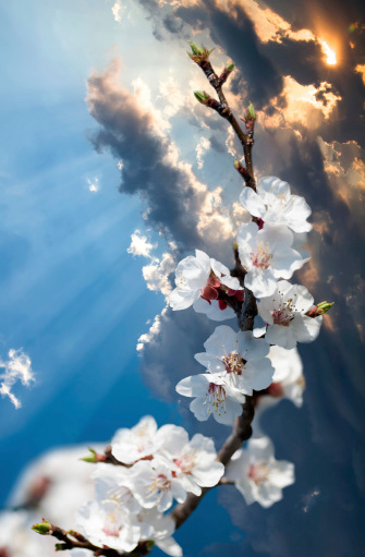 ThinkstockPhotos-474672097